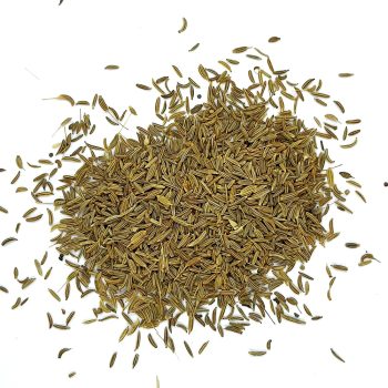 Carvi grain  <br>كراويا