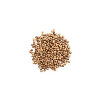 Coriandre grain <br>قسبر