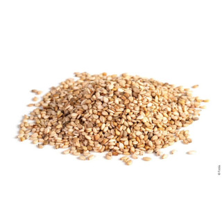 Grain de sésame <br>جلجلان