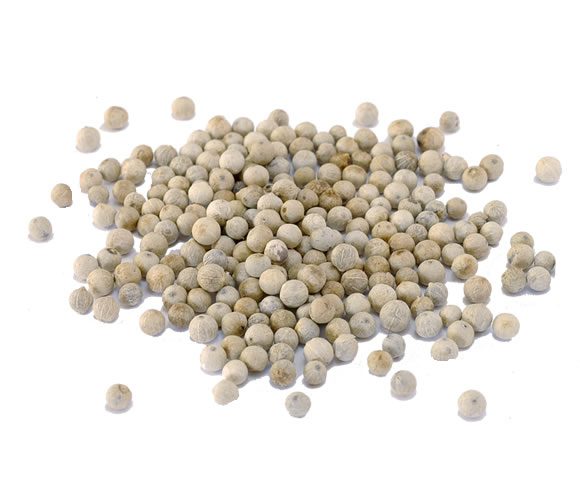 poivre-blanc-580x500 (1)